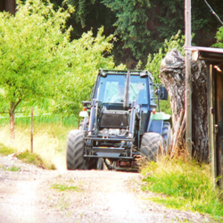 Steckenbhlhof - Traktor fahren