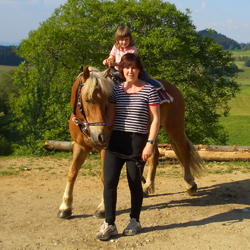 Steckenbhlhof - Unser Haflinger Simon