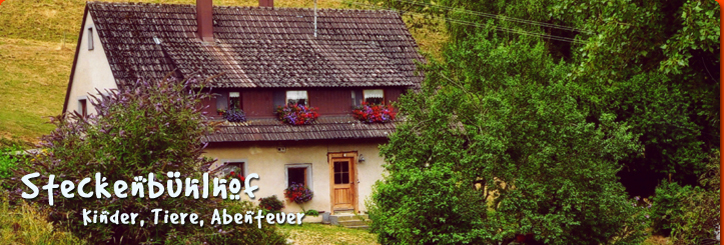 Stecknbhof Ferienwohnung 2 Altbau