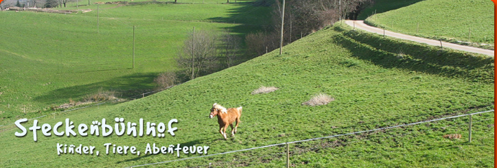 Steckenbhlhof Reiten auf unserem Haflinger Simon