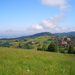 Steckenbhlhof Blick auf Horben