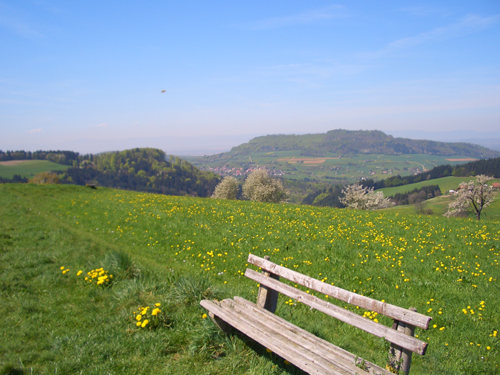 Steckenbhlhof Eine Bank ldt zum Ausruhen und Genieen ein