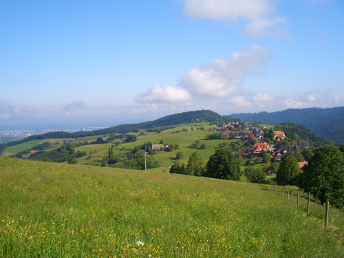 Steckenbhlhof Blick auf Horben