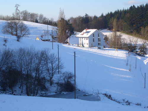 Steckenbhlhof - Schnee im Frhling