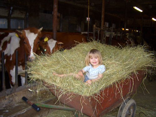 Steckenbhlhof - Spa im Kuhstall